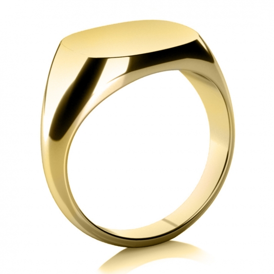 Pánský pečetní prsten Brandy, žluté zlato